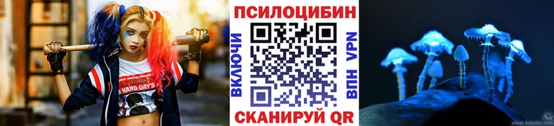 Псилоцибиновые грибы прущие грибы  Купить  Калининец 